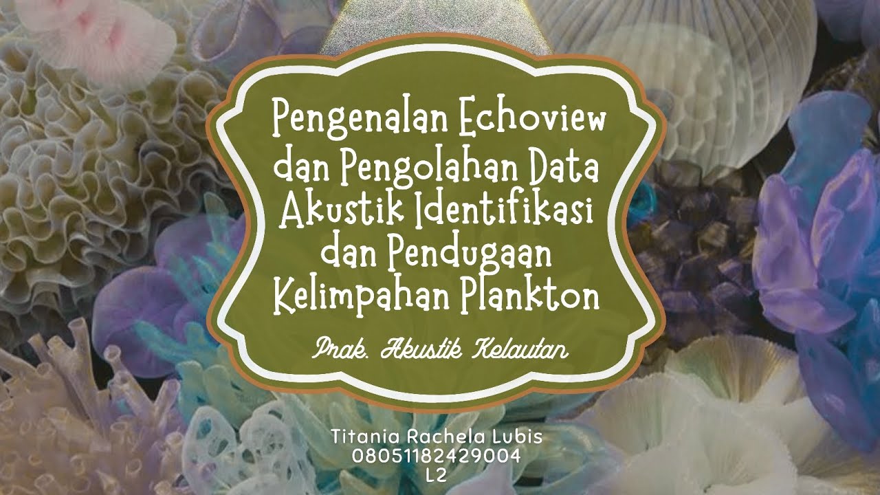 PENGOLAHAN DATA AKUSTIK IDENTIFIKASI DAN PENDUGAAN KELIMPAHAN PLANKTON | PRAK. AKUSTIK KELAUTAN 2026