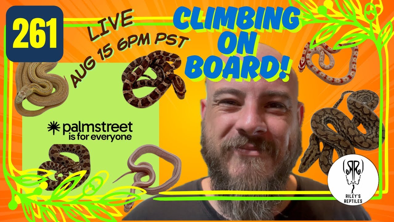 PalmStreet LIVE This Weekend with Amazing Animals! - no. 261