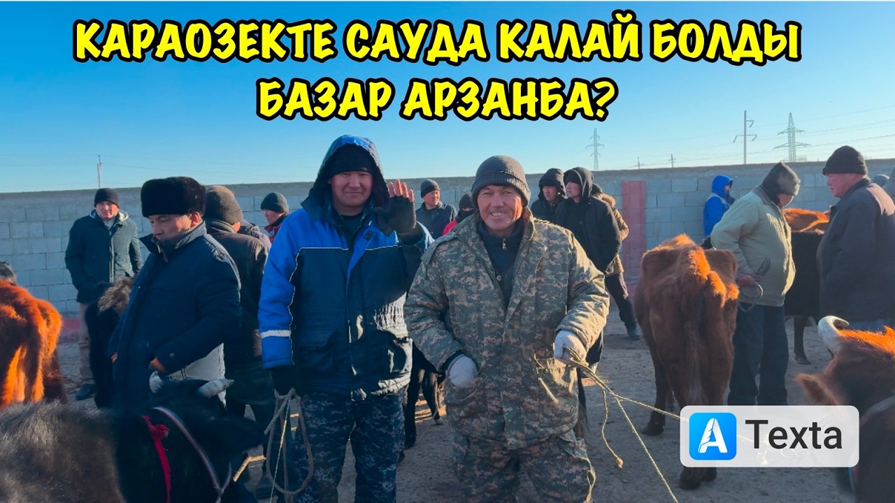 11-МАРТ/2026/КАРАОЗЕК МАЛ БАЗАРЫ/МАЛ БАЗАР 2026/ДЕМ БЕРМЕС МАЛ БАЗАР/СКОТНЫЙ РЫНОК 