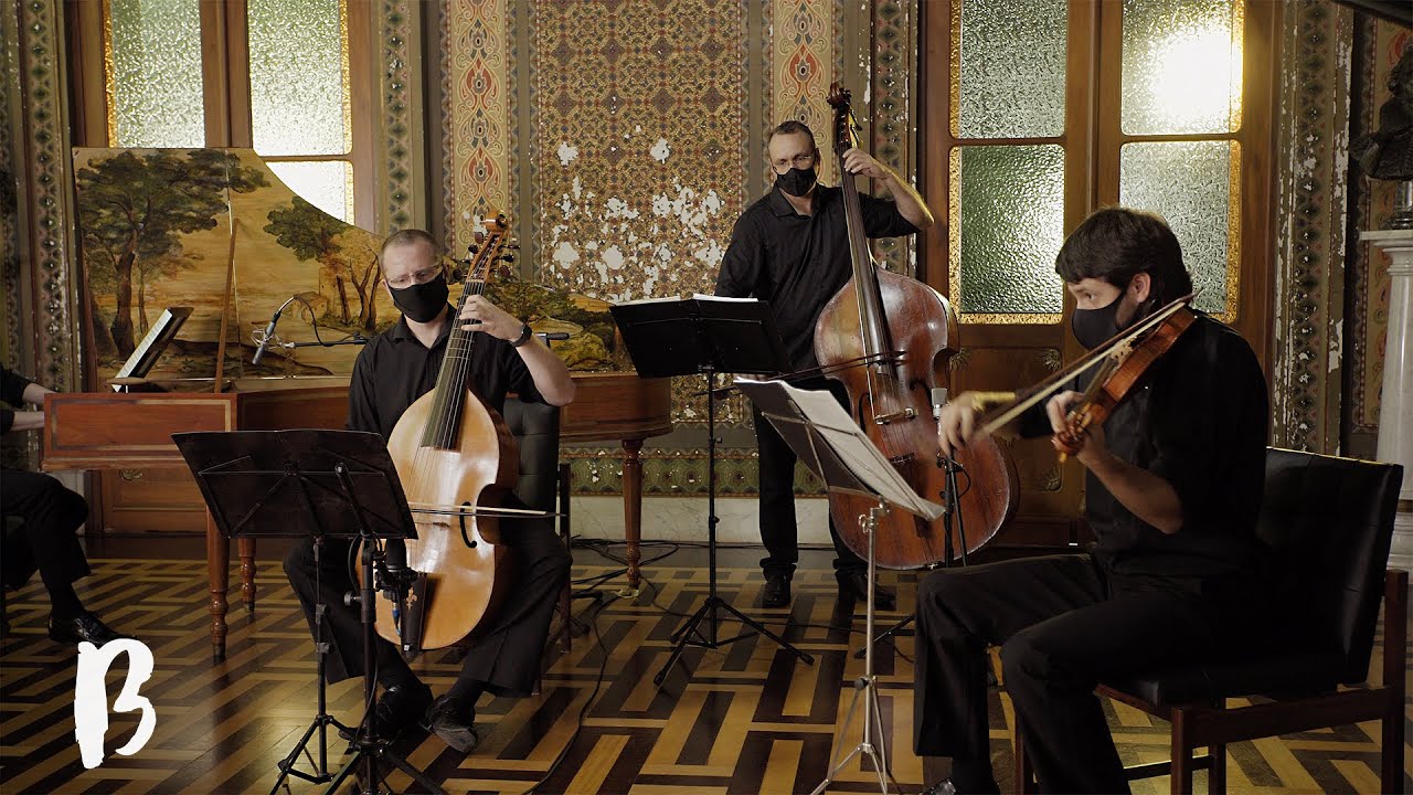 Bach, “Wachet auf ruft uns die Stimme” BWV 645 (dos 6 Corais para órgão) | BACH BRASIL