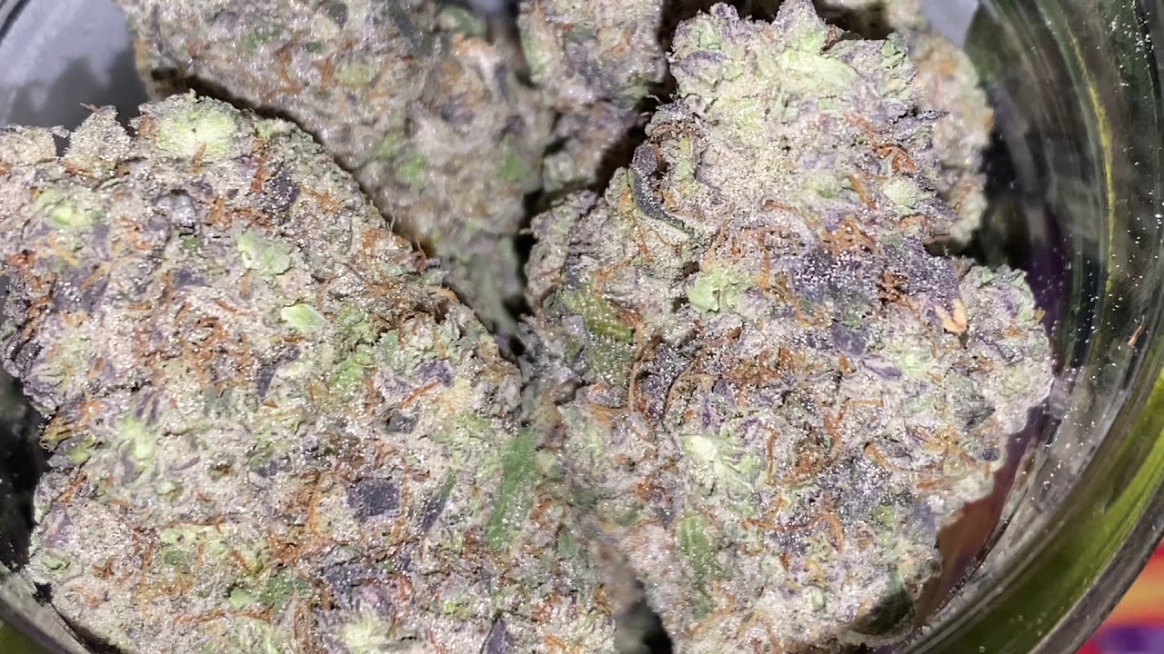 Kush Mintz X 41 = 41 Mintz ChicagoSticky