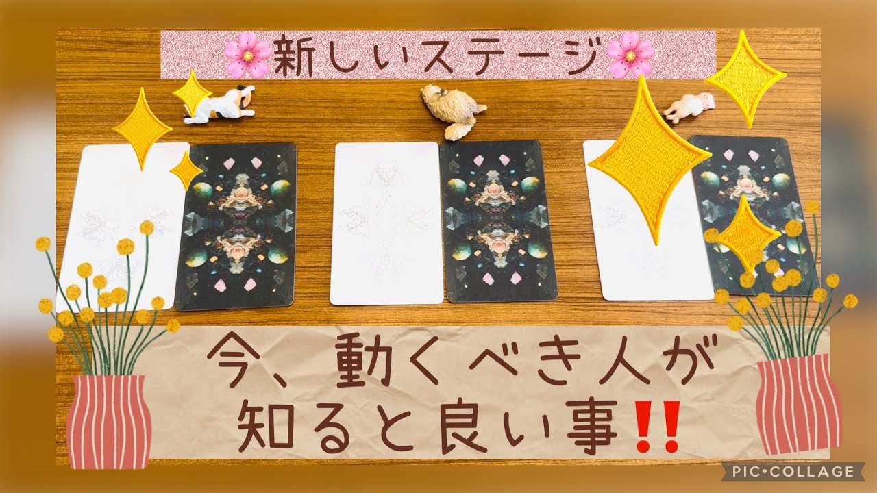 【2026春分🌼】　新しいステージ💓今、動くべき人が知ると良いメッセージ‼️