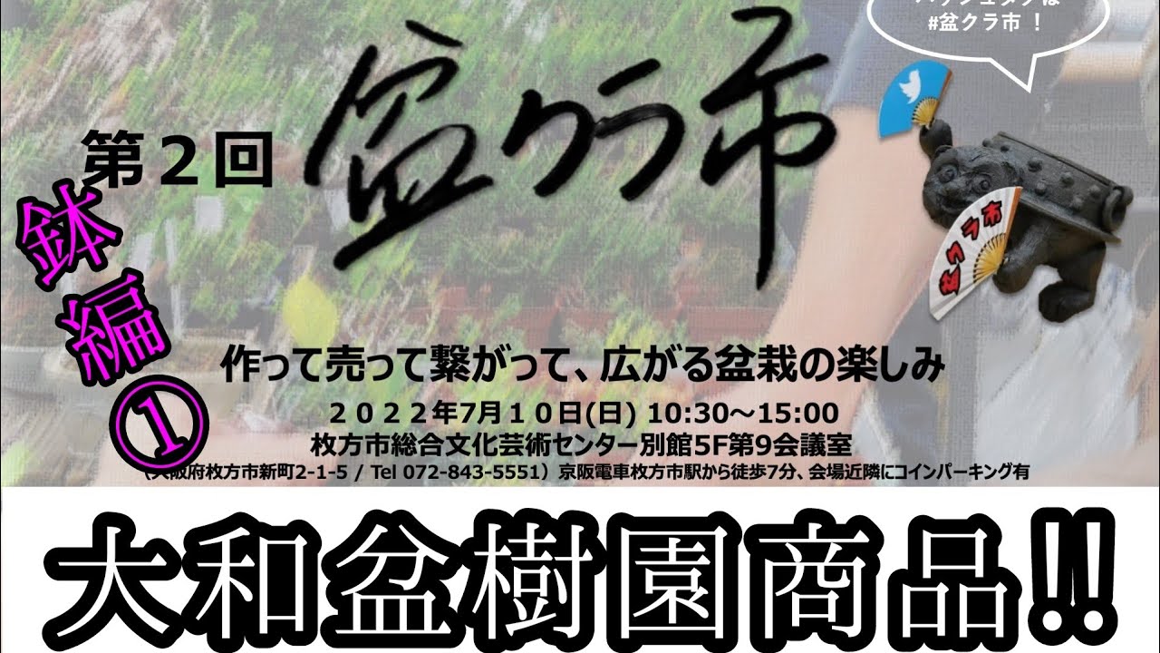 盆クラ市出品商品紹介！盆栽鉢リーズナブル編