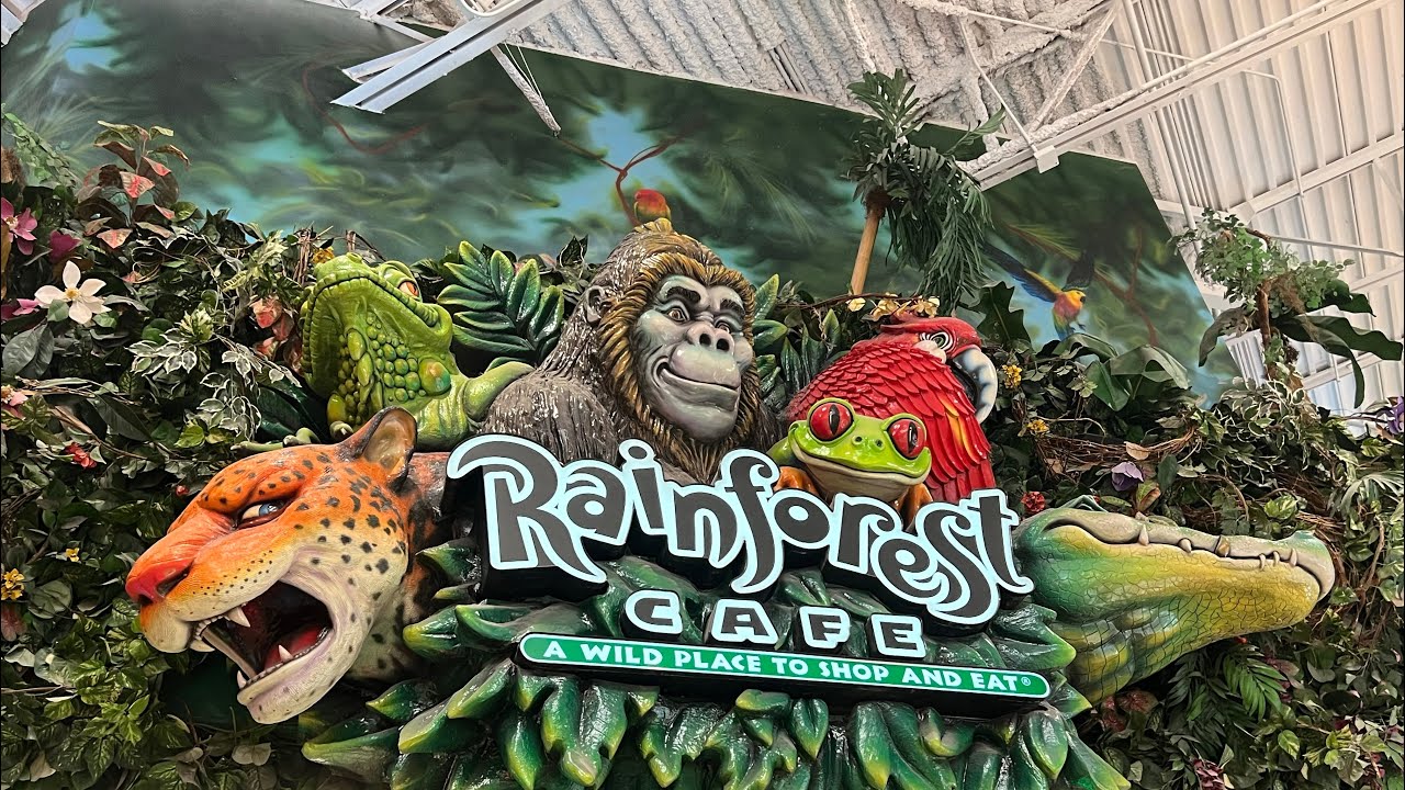 Conociendo El Rainforest Cafe en Arizona 2026