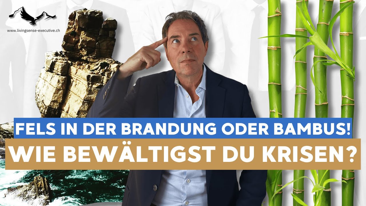 Für welche Art von Krisenbewältigung entscheidest du dich?