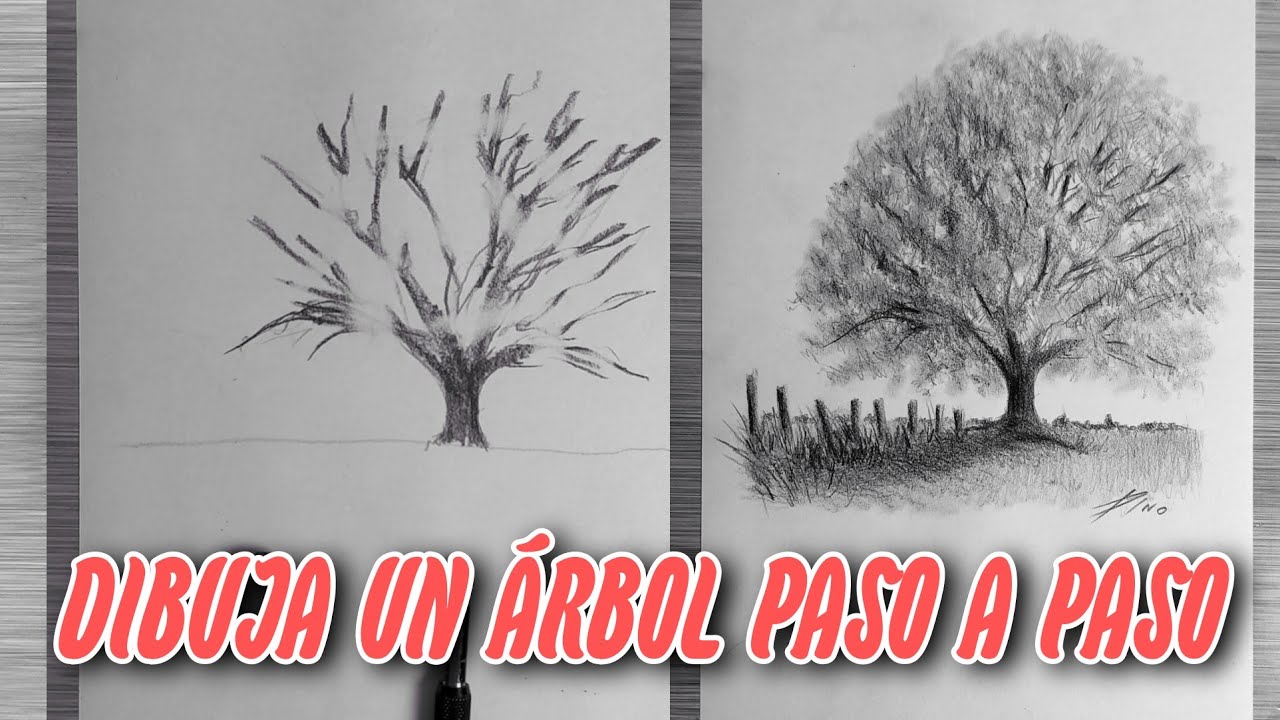 Dibuja un ÁRBOL 🌳 Paso a Paso ✏ (NARRADO)