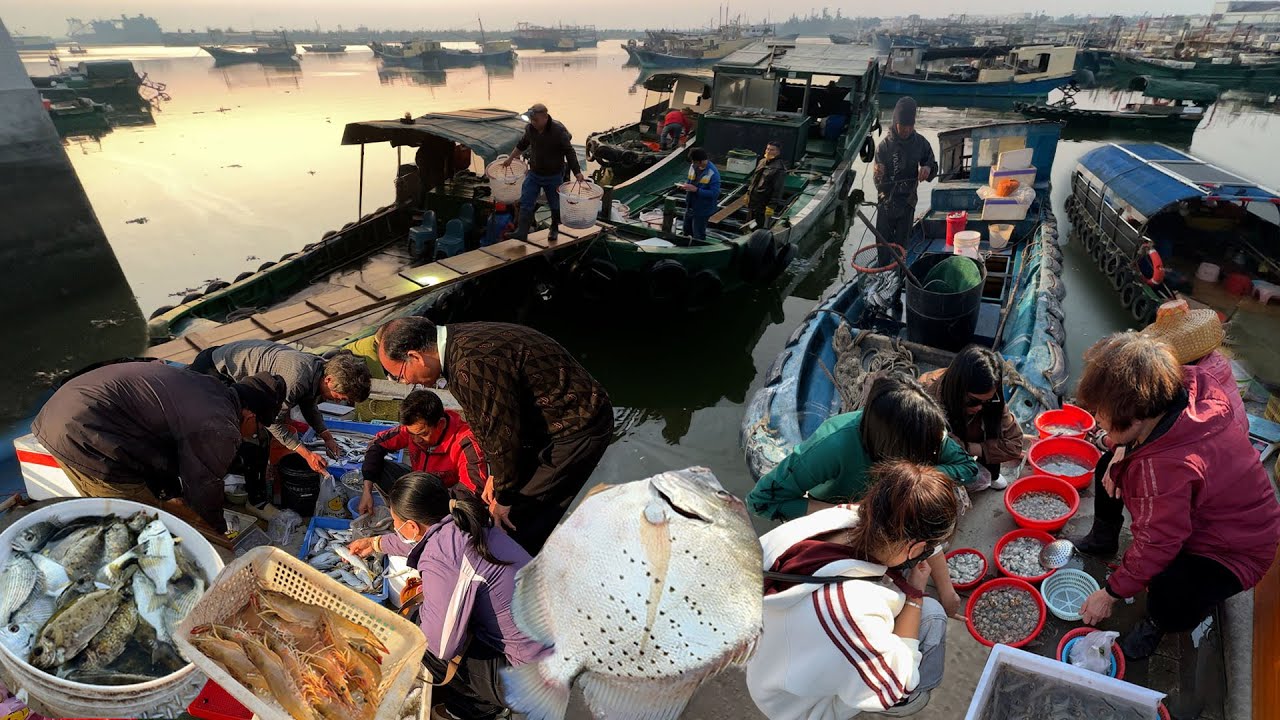 中國 廣東 陽西縣 溪頭漁港 海邊的海鮮一條街 溪頭市場 下午漁民在碼頭邊上擺賣海鮮非常熱鬧 活泥鯭魚25元一斤 特色小食蝦瑪 Seafood Market StreetFood Citywalk