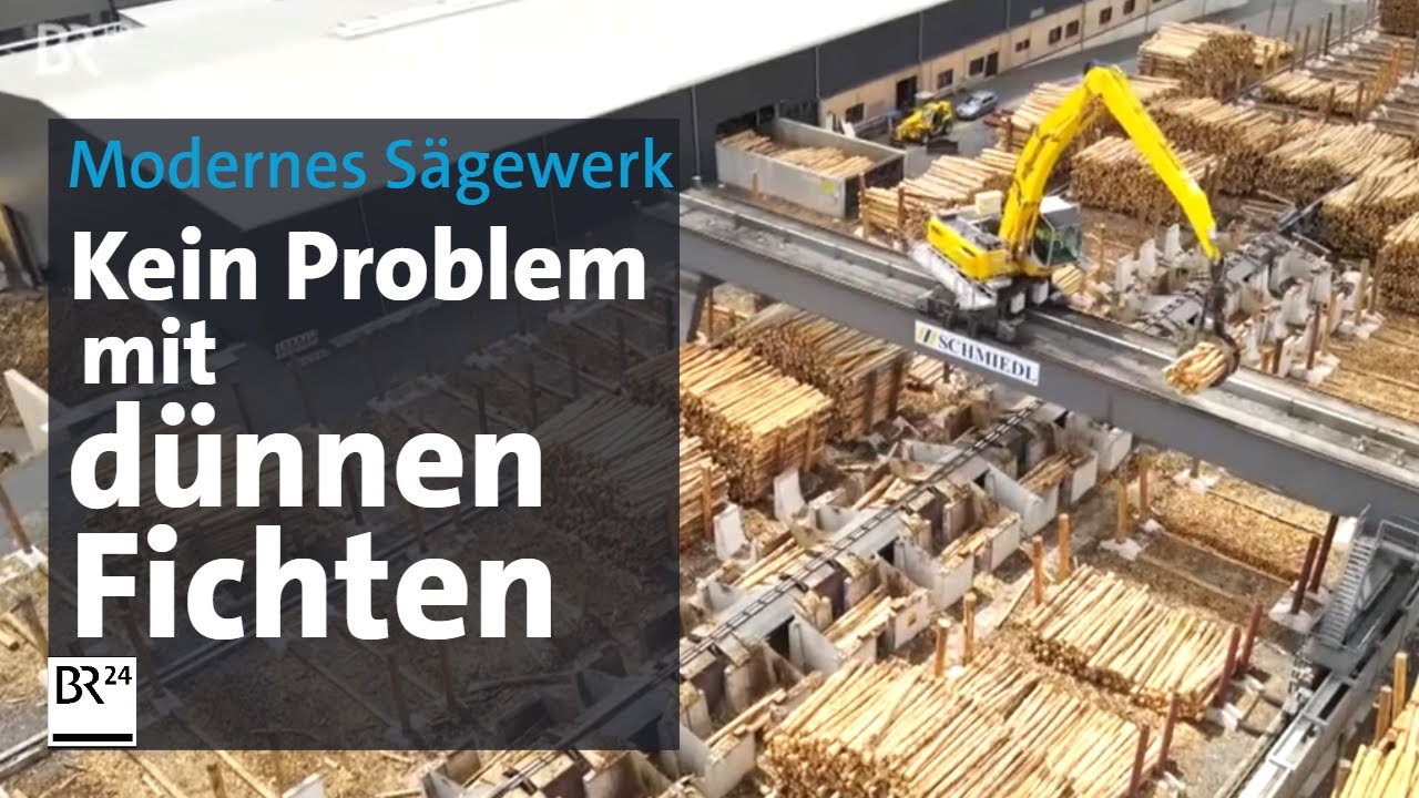 Modernstes Sägewerk Europas steht in Wunsiedel | BR24
