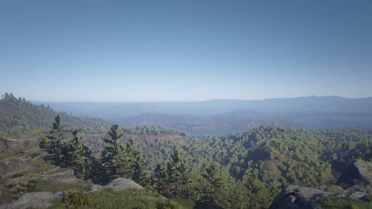 View from The Loft