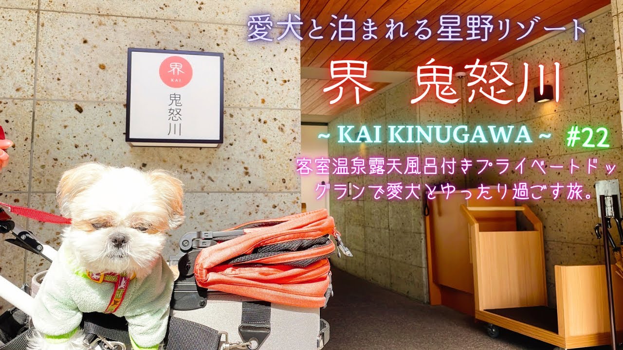 【愛犬と旅行】愛犬泊まれる星野リゾート〜界鬼怒川〜KAI KINUGAWA〜客室露天風呂付きプライベートドッグランで愛犬とゆったり過ごす旅。