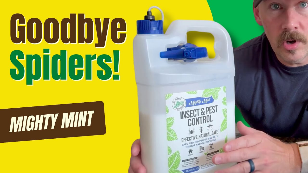 Mighty Mint Natural Peppermint Oil Insect & Pest Spray review