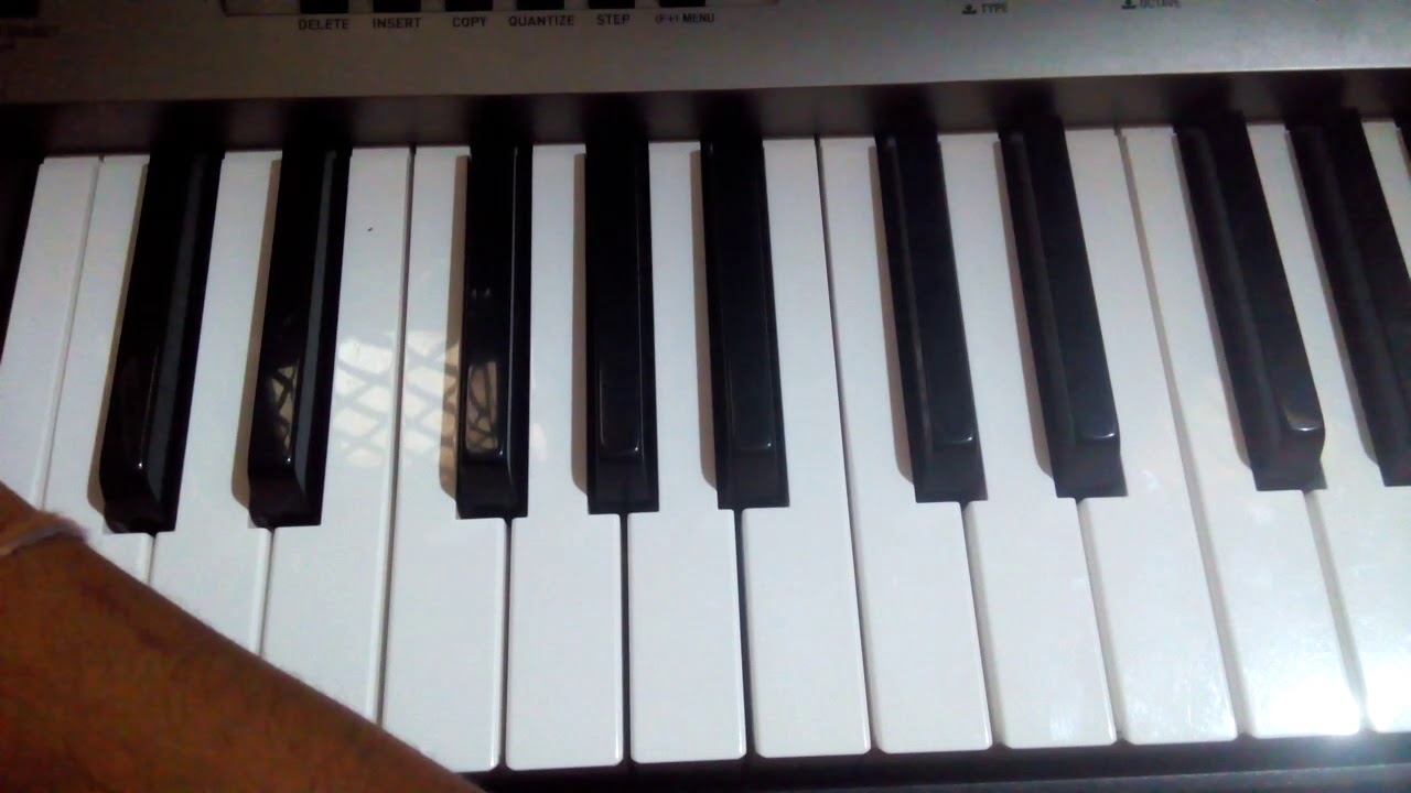 Pandida on piano
