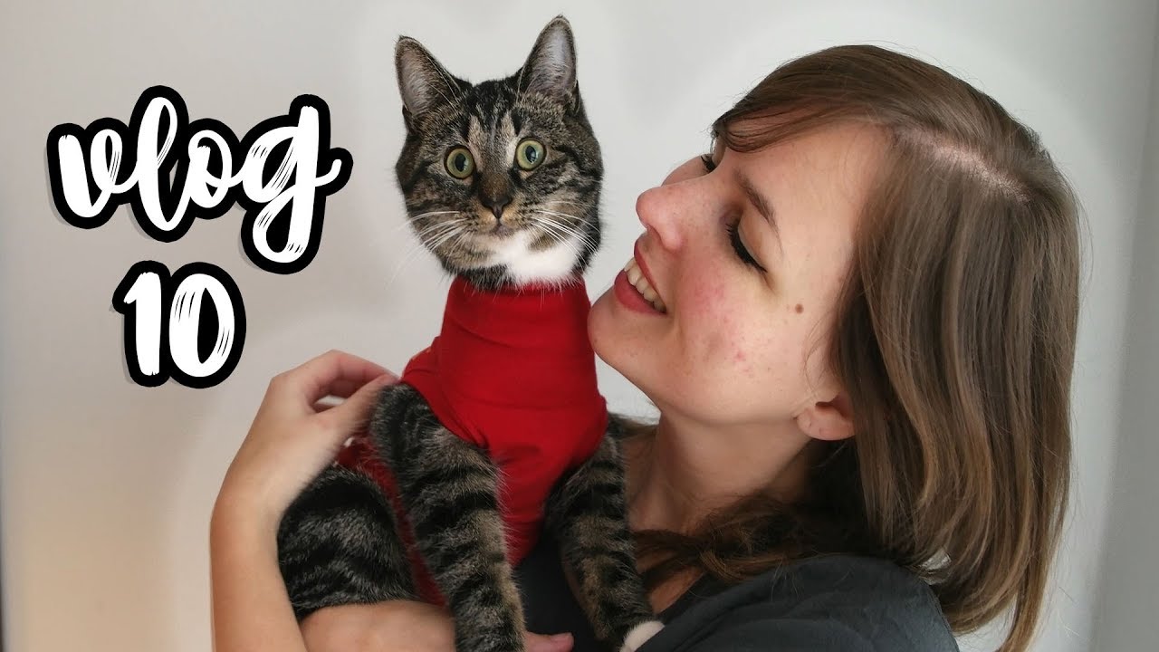 Een nieuw begin... #Vlog 10