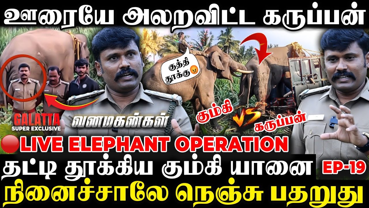 🔴கும்கி Vs கருப்பன்🔥காட்டு யானையை பிடிக்க நடந்த வினோத பூஜை😱Live Operation Karuppan | Vanamagangal-19