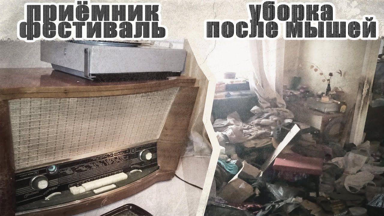 ТРЭШ кватрира плюшкина! Приёмник фестиваль. | Extreme Cleaning house. # Серия  7