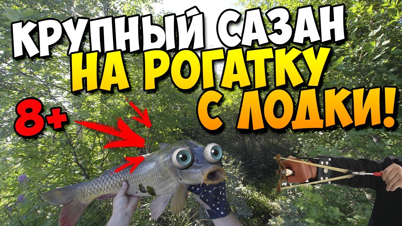 Сазан на рогатку с лодки! | Рыбалка с рогаткой и дротиками с лодки #27
