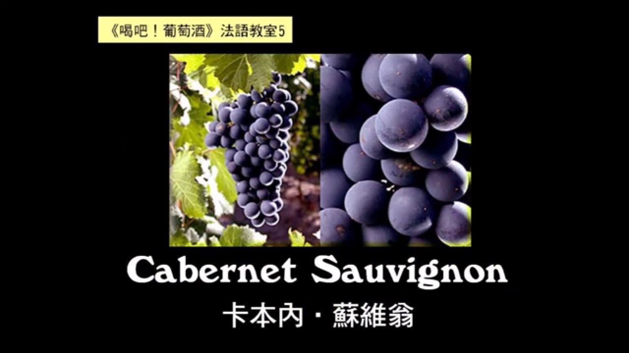 【葡萄酒法語教室5】卡本內．蘇維翁 Cabernet Sauvignon French pronunciation