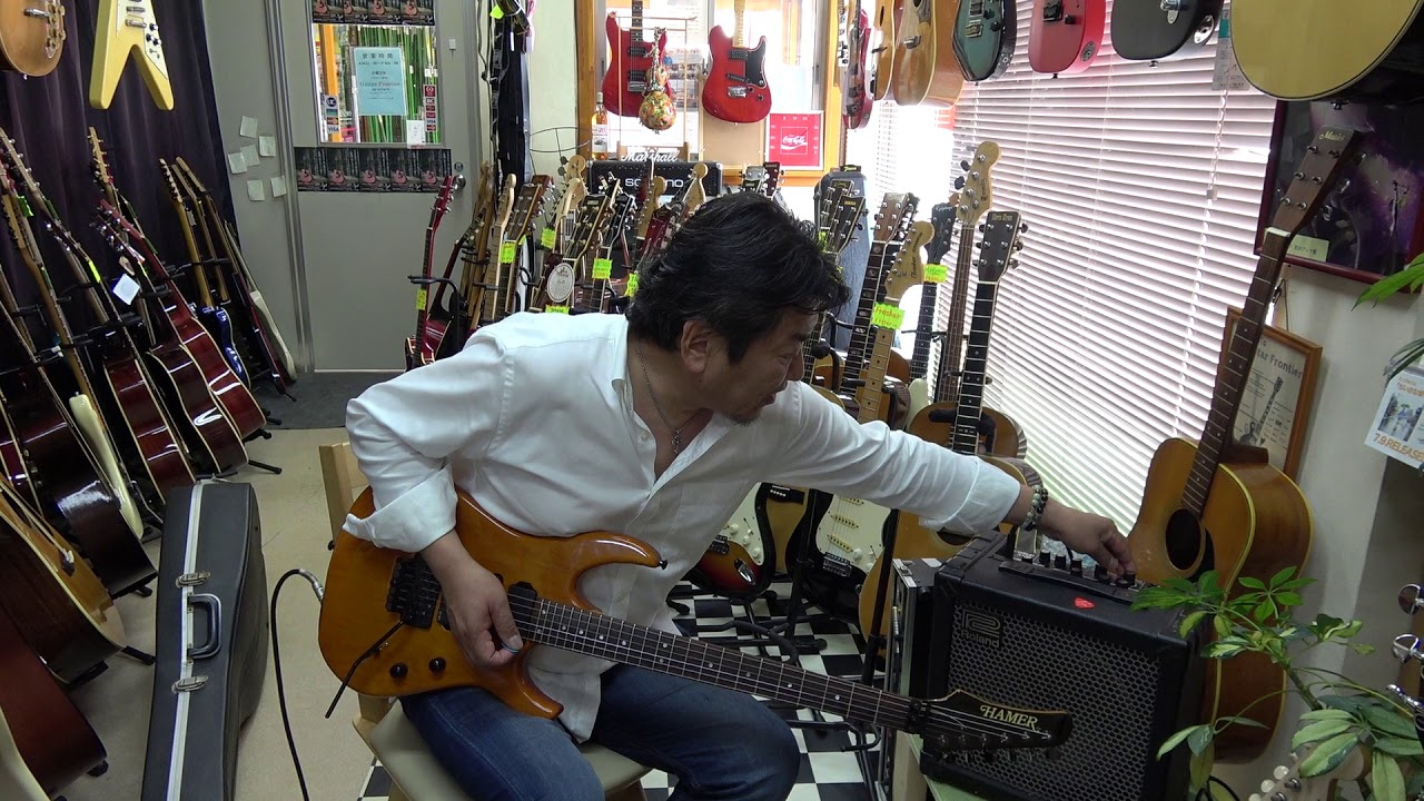 HAMER USA ディアブロⅡ　ＥＭＧ＆フロイドローズ