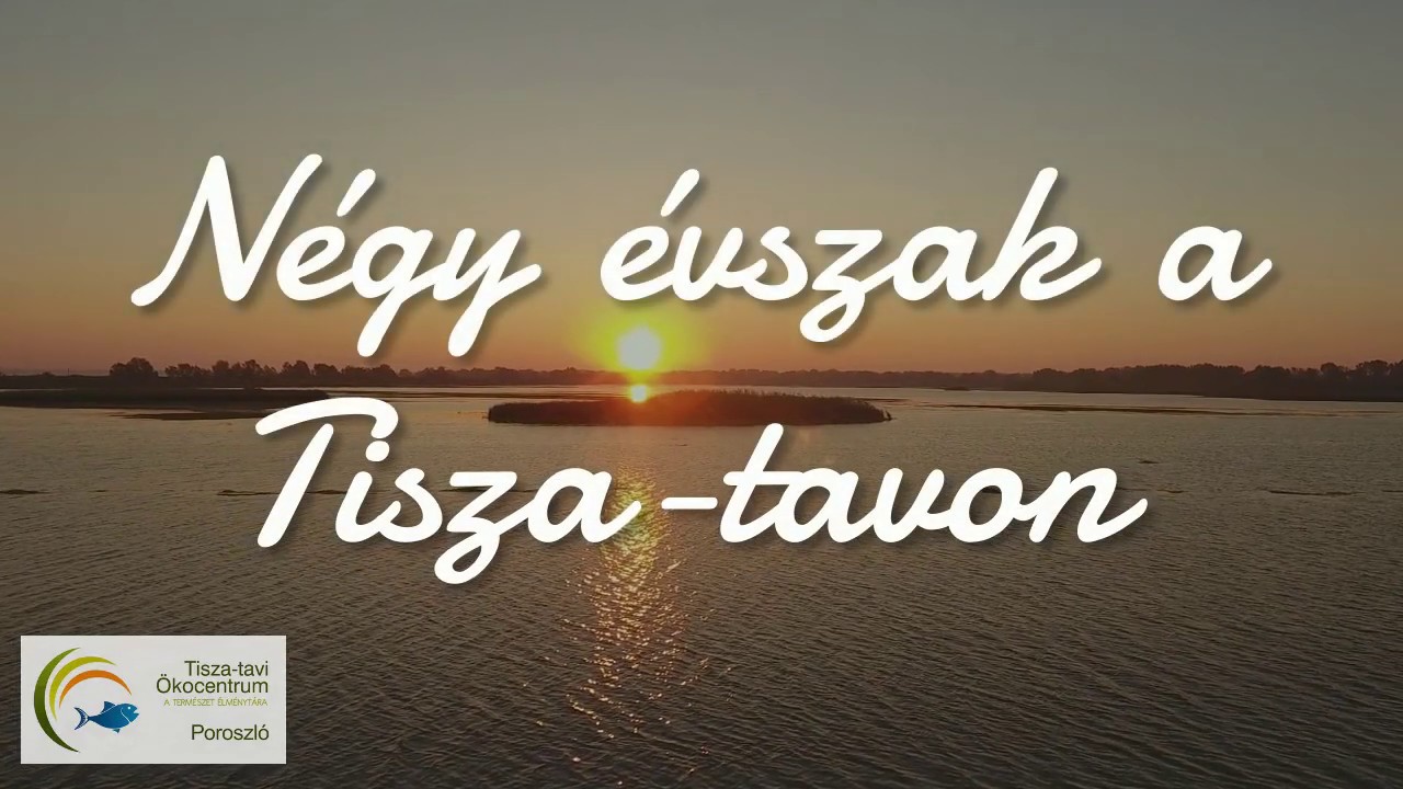 N&eacute;gy &eacute;vszak a Tisza-t&oacute;n&aacute;l