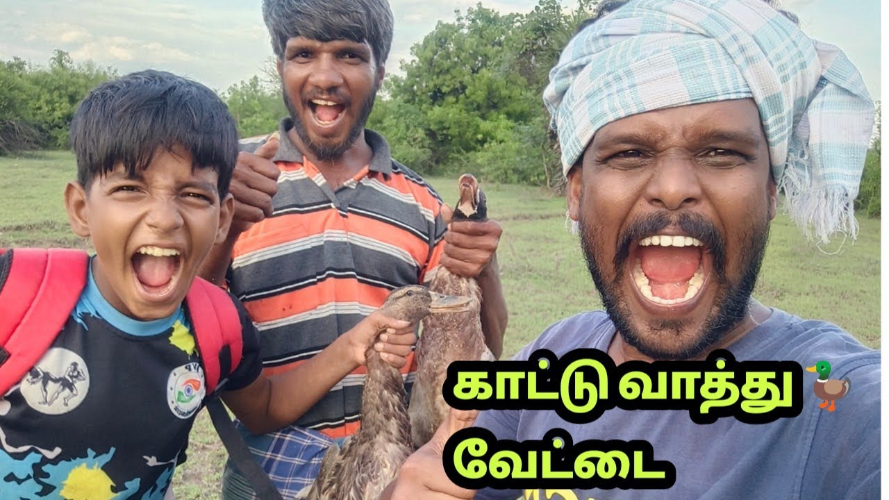 காட்டு வாத்து வேட்டை 🔥🔥🔥 🦆🦆🦆🦆🦆🦆🦆 #duck #duckybhai