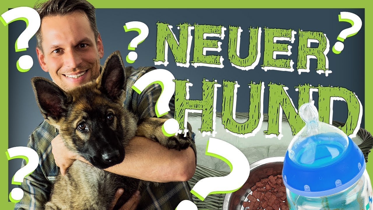 Welpe zieht ein | Wie du dich PERFEKT auf deinen neuen WELPEN vorbereitest