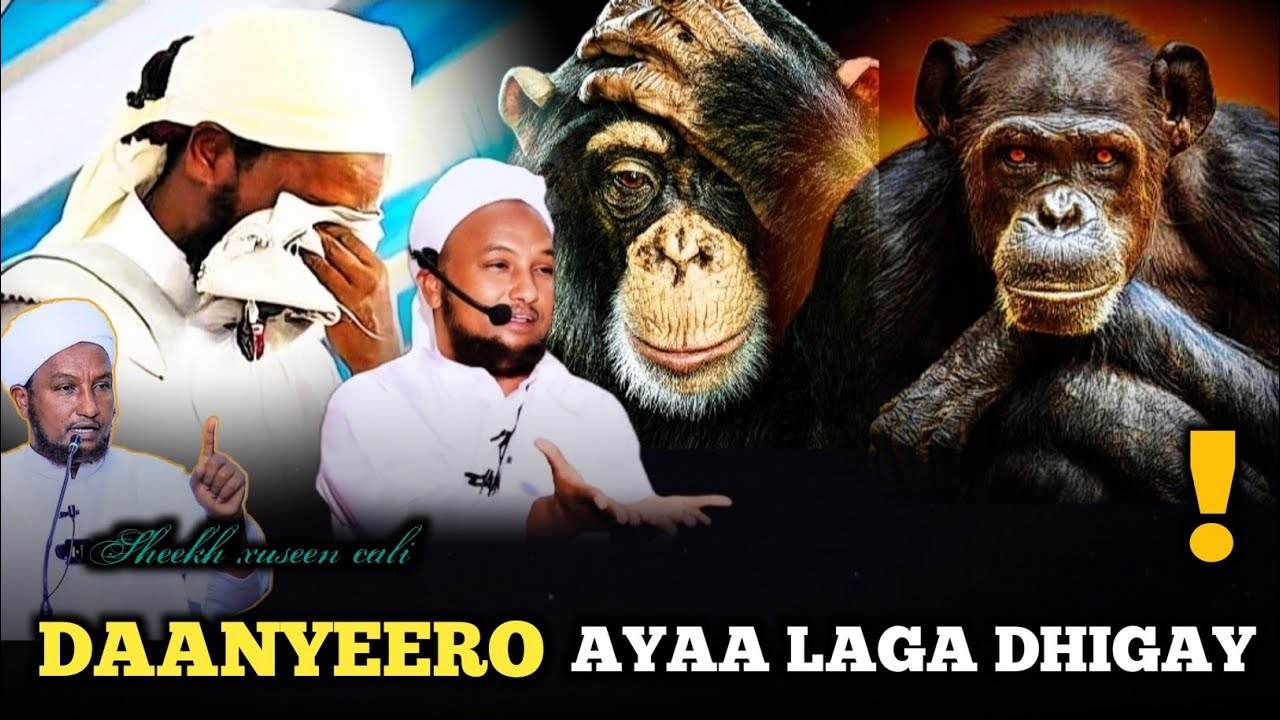 Muxaadaro Cusub Iyo Qisooyin Kaa Ilmeysiin Doonta ᴴᴰ┇► Sheekh Xuseen Cali Jabuuti