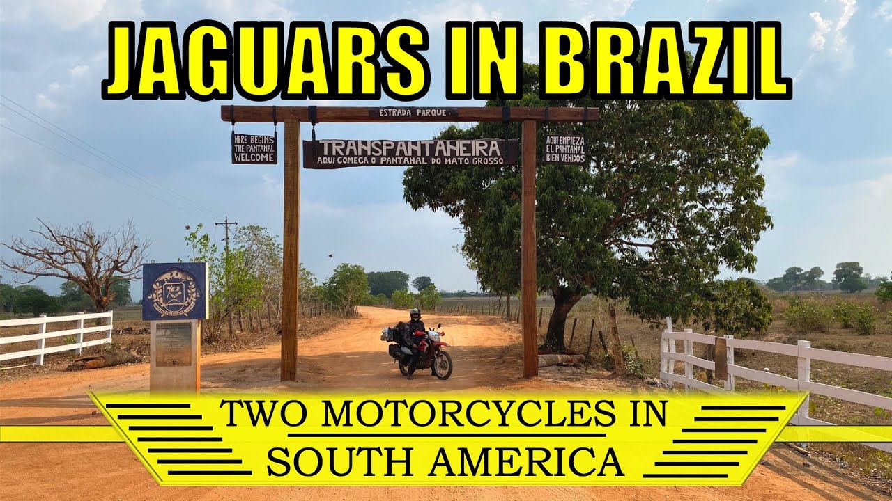 Jaguars on our Motorcycle Trip in Brazil, Pantanal Transpantaneira | S2 Ep.8