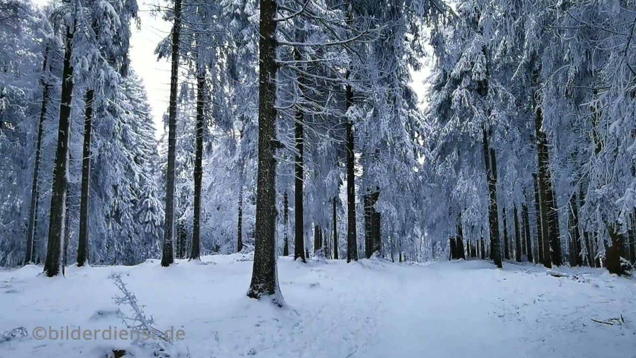 Winter im Sauerland