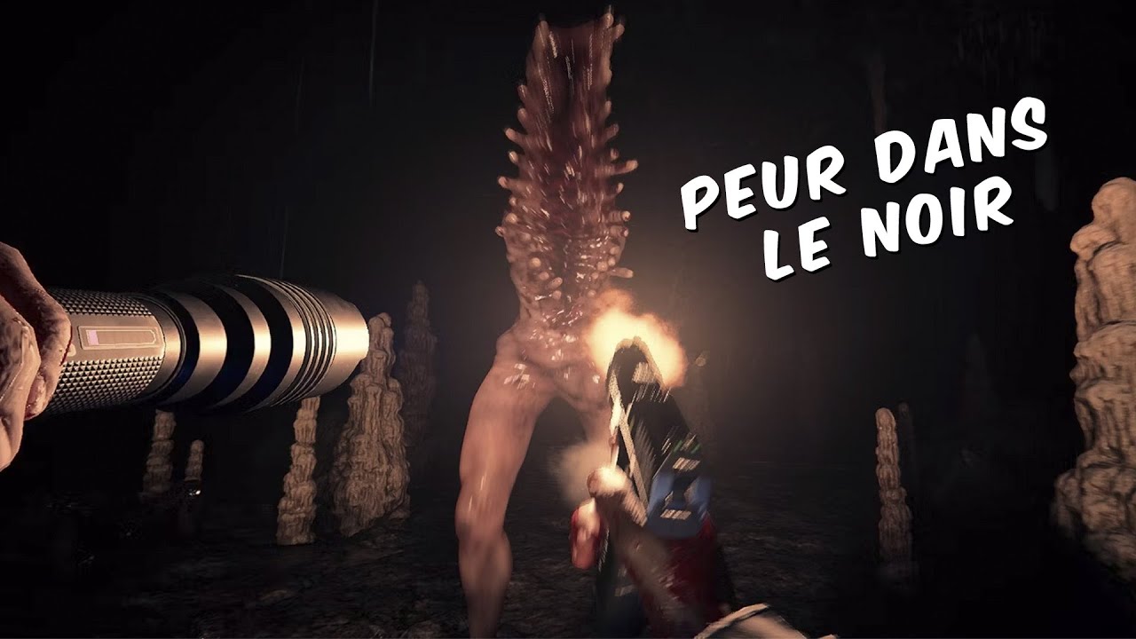 Sons of the Forest - Piégé sur une ile remplie de cannibales affamés