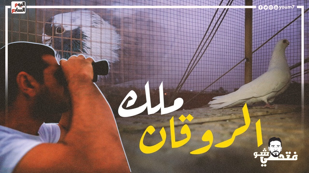 فرد الحمام عنده وصل لـ ٧٠ الف جنية 😮.. ملك الروقان صمم أغلى غية في وجابها بالطيارة  وبقي اسطورة النش