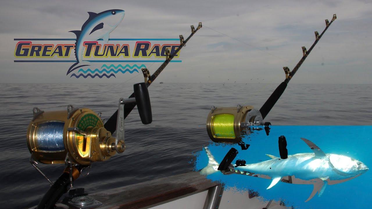 GREAT TUNA RACE 2014, ATUNES AL BRUMEO