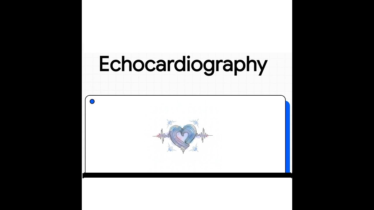 Echocardiography | Core Principles, Image Interpretation & Clinical Application