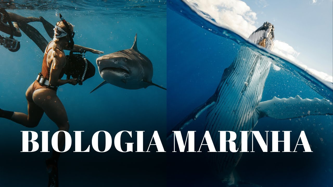BIOLOGIA MARINHA - DOCUMENTÁRIO