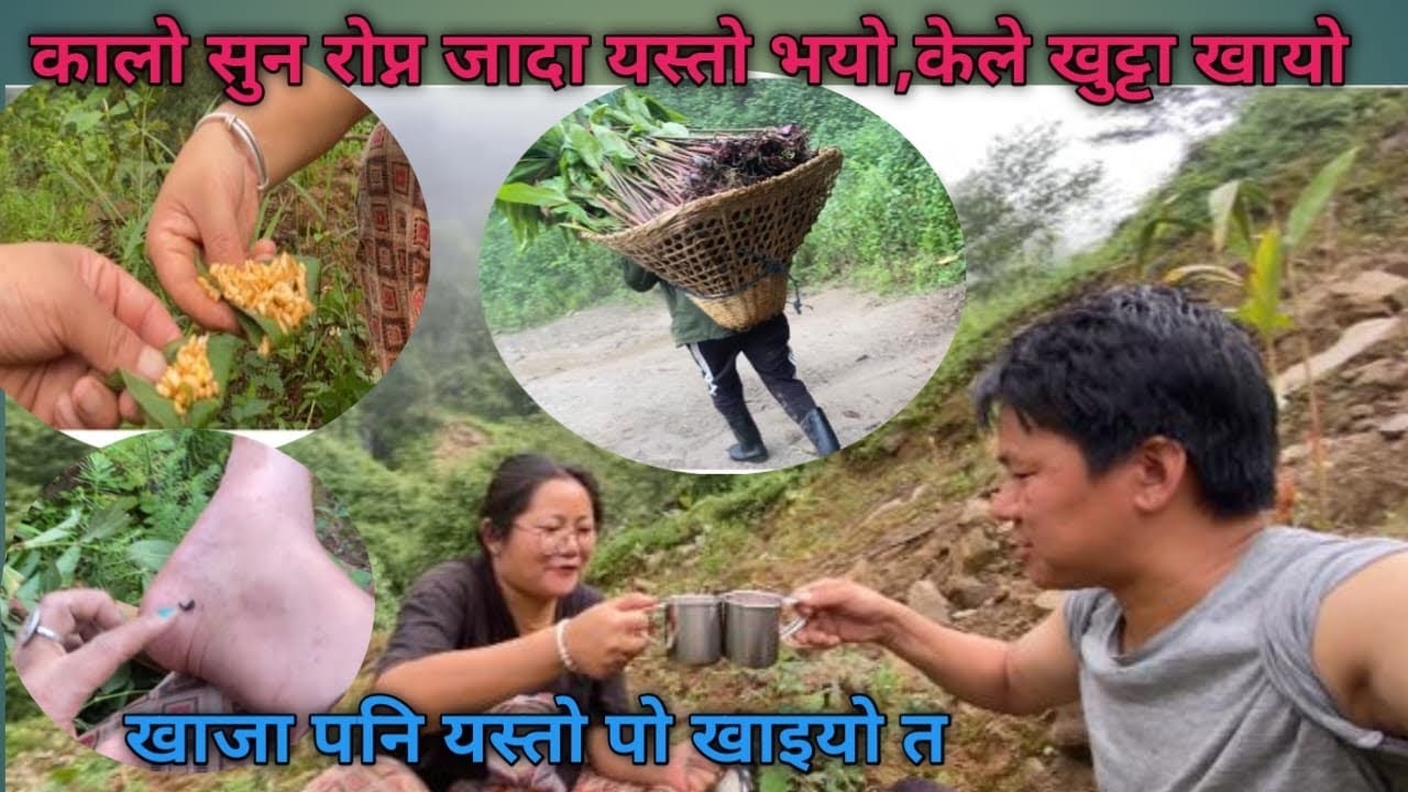 कालो सुन रोप्न जादा यस्तो भो, रिसि धमलाको इन्टरभ्यु मा परियो