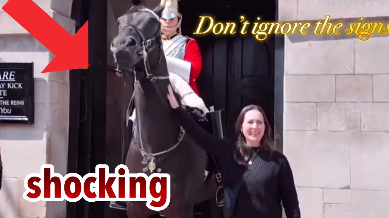 RUDE IDIOTS ignored the signs, MESSED THE WRONG KING’S GUARD horse , THIS HAPPENED!!!