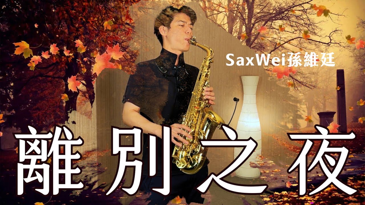 離別之夜｜Alto Saxophone｜SaxWei孫維廷