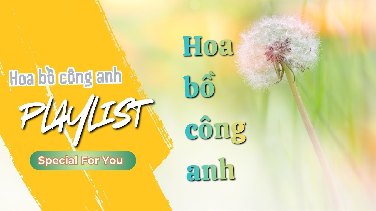 HOA BỒ CÔNG ANH | PLAYLIST | Hành trình gieo hạt mơ ước.#lamotdieulanhmusic
