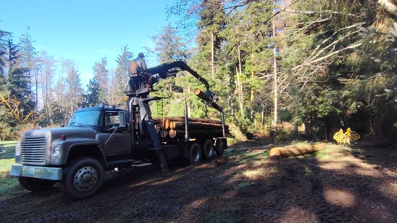 Another short deck heading to the mill