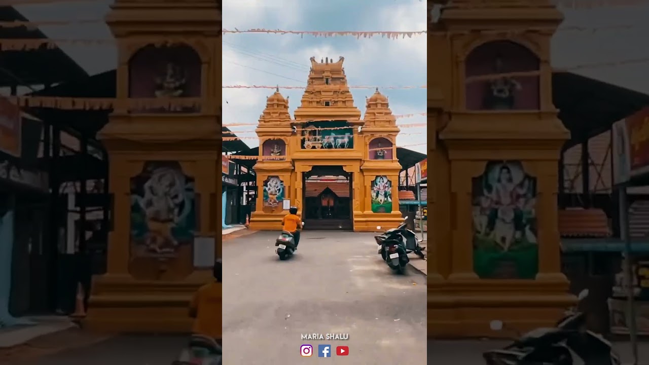 Thodupuzha #thodupuzha #thodupuzhanews #thodupuzhanature