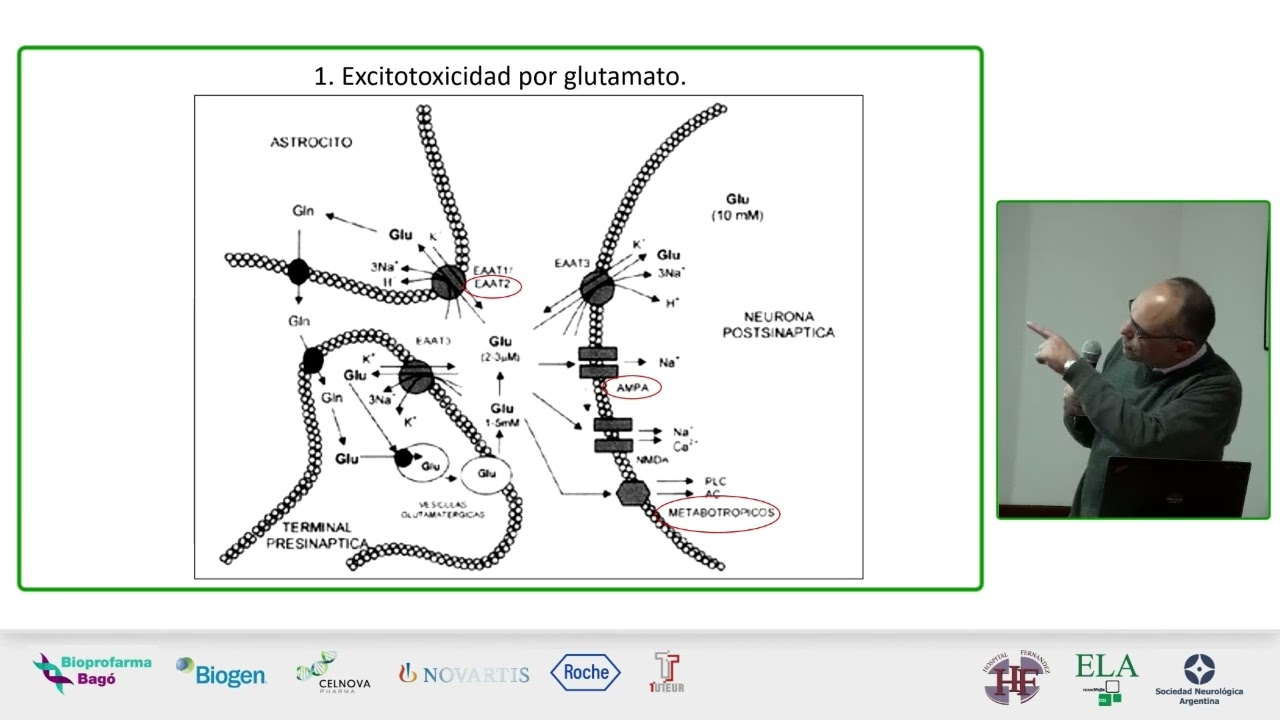 Fisiopatología de la ELA