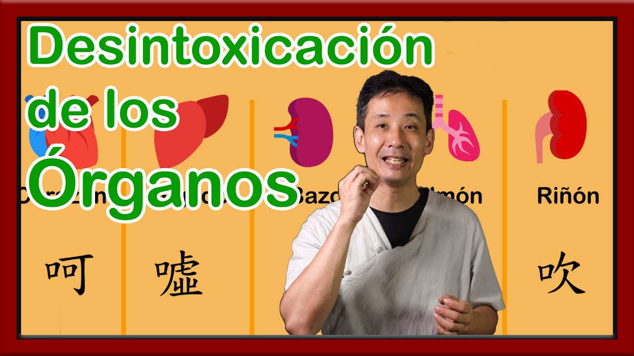 Desintoxicaci&oacute;n de los &oacute;rganos