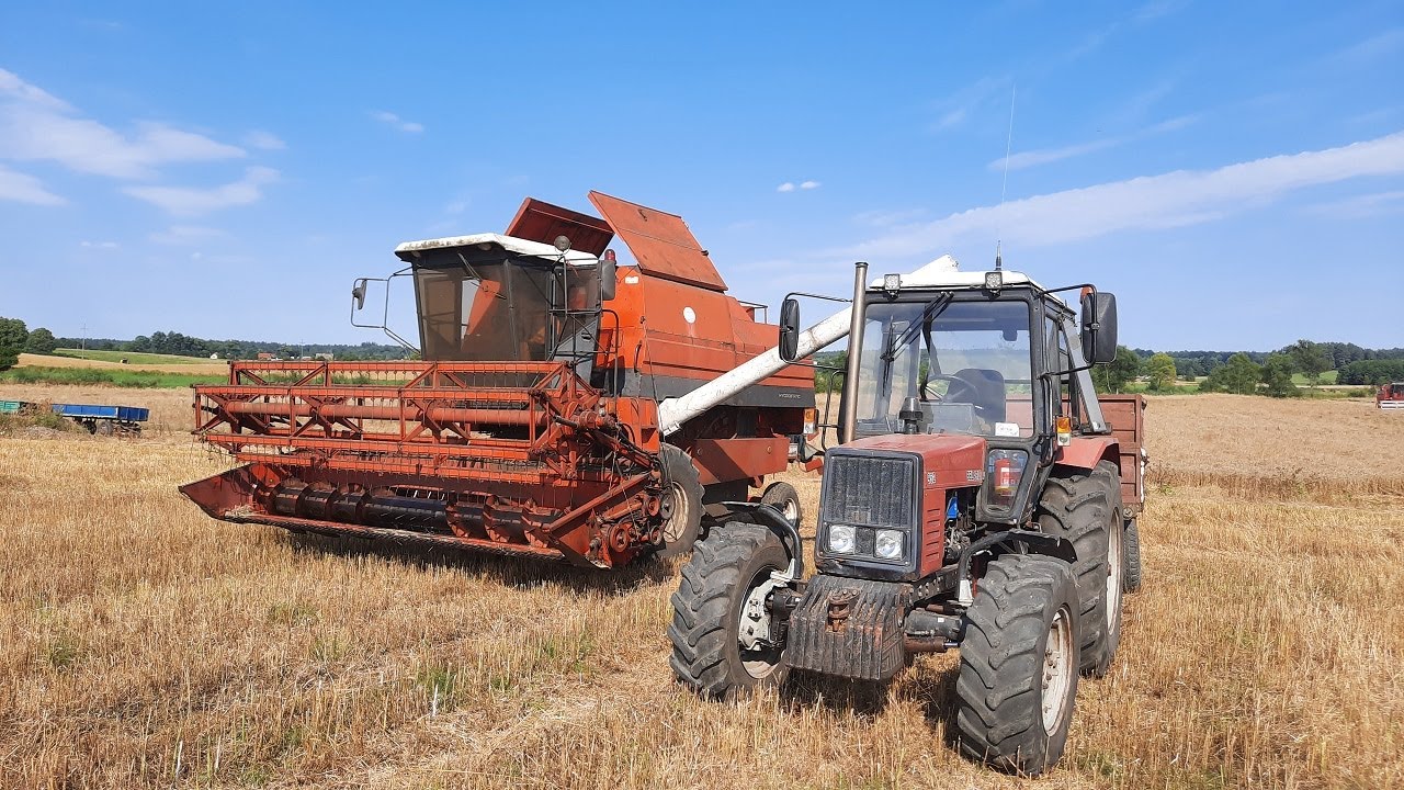 ☆Żniwa 2020 u Mateusz Dirty Garage!!!☆2x Bizon☆Bs i Gigant w Akcji☆Belarus 952+Tandem☆