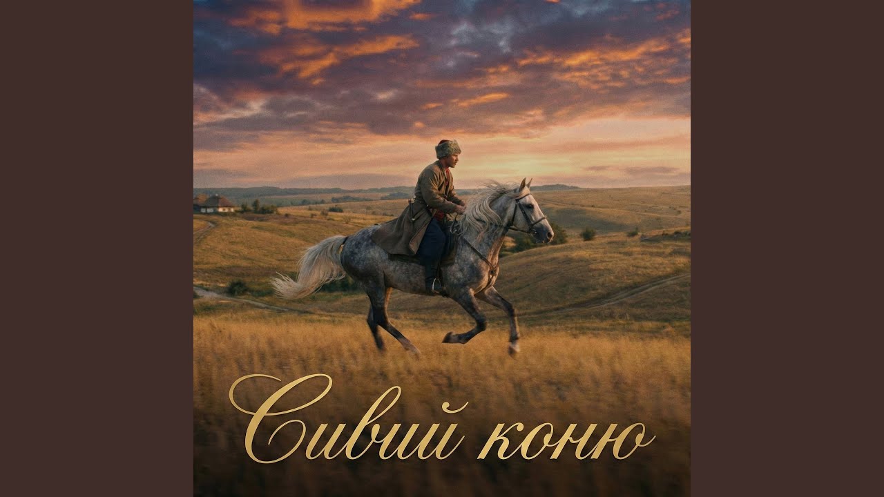Сивий коню