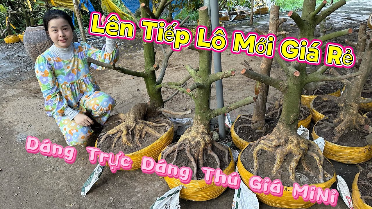 Chiều 2/3 ☎️0386768133 hàng mới làm ra giá mini (chợ gạo tiền giang)