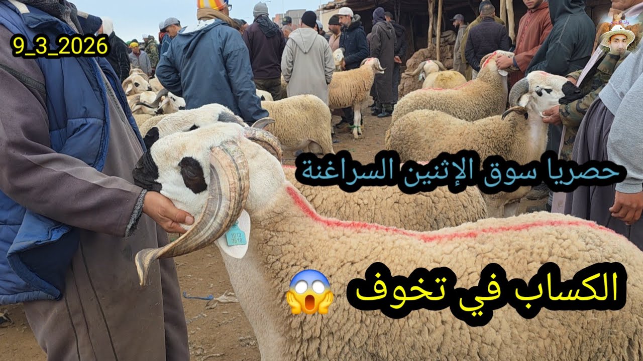 #حصريا 19 رمضان من سوق الإثنين السراغنة #أجي تسوق وتشوف أثمنة 🐏 🐑 🐏 #أخبار_السوق 