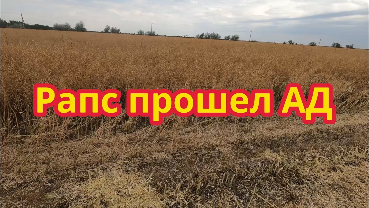 РАПС ПРОШЕЛ АД: Выжил в жару январе и мороз весной