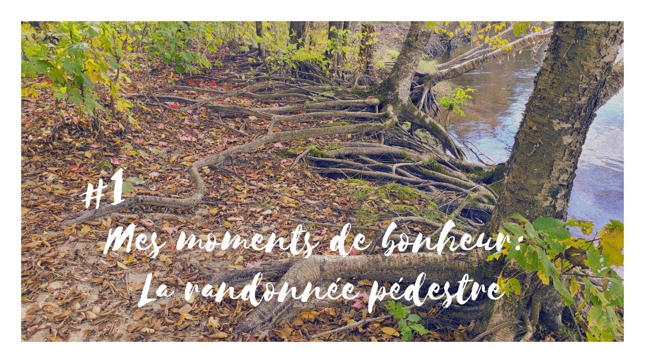 #1 Mes moments de bonheur: La randonnée pédestre - Marie-Christine Savard