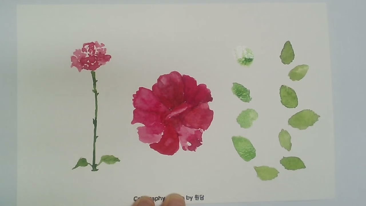 IOU Rose Drawing EP 176 #postcard #수채캘리그라피 #그림 #rose