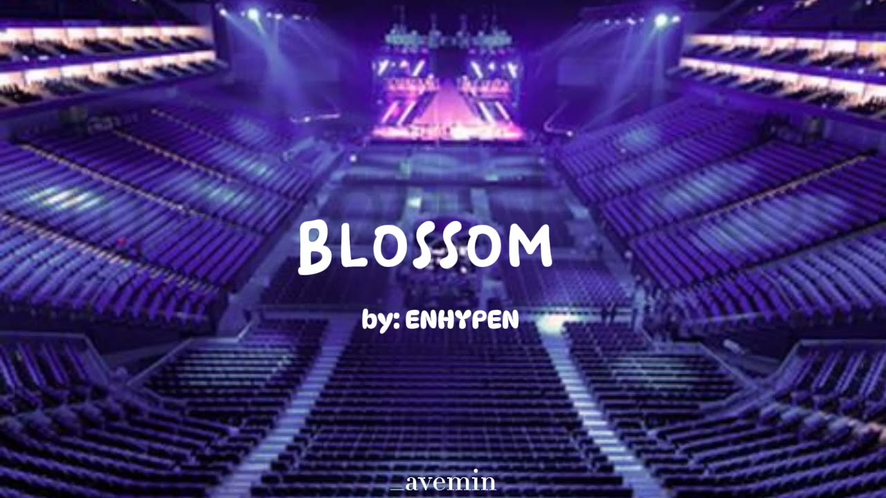 BLOSSOM - ENHYPEN | but you're in an empty arena