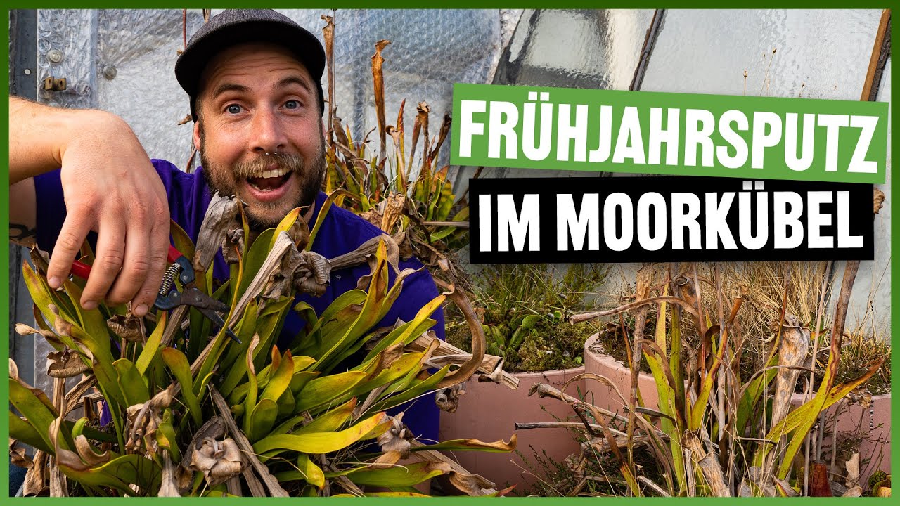 #127 Moorkübelupdate im Frühjahr 2021